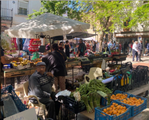 Captura de pantalla 2025-10-24 153506