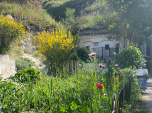 Captura-de-pantalla-2025-10-24-153726