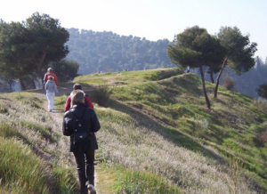 Captura-de-pantalla-2025-10-24-153752